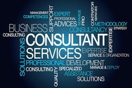   Business Consultant